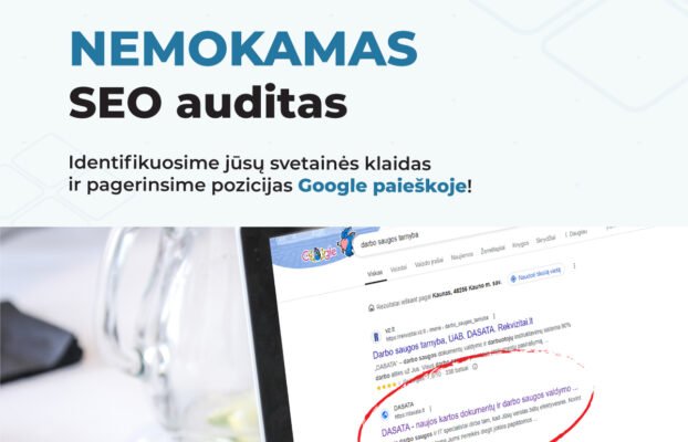 SEO paslaugos verslui