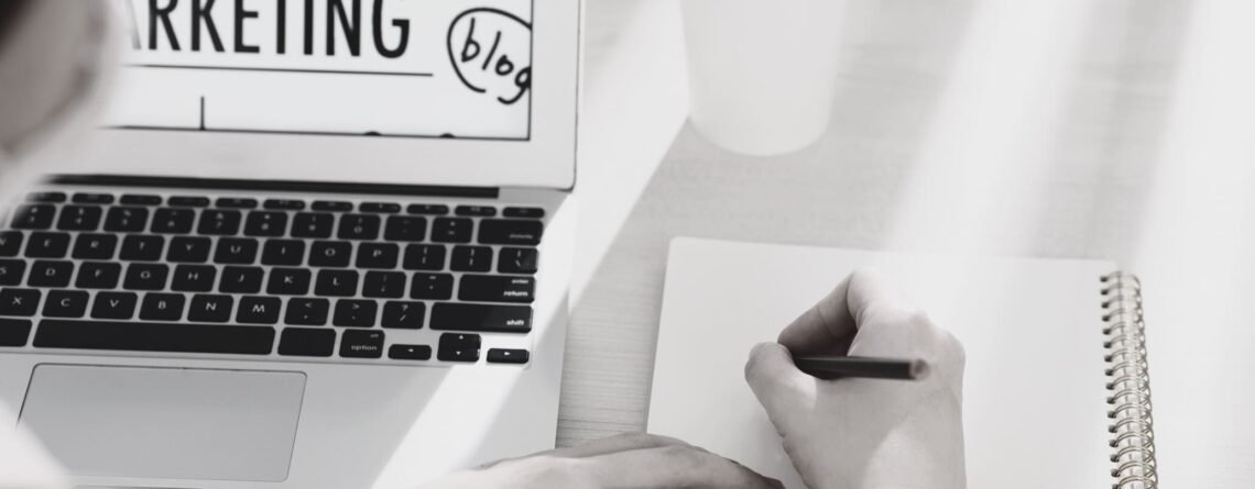 SEO paslaugos, profesionalios svetainių optimizavimo ir kūrimo paslaugos, bithub.lt